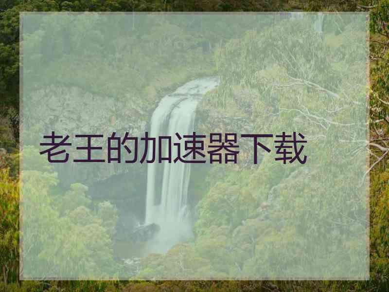 老王的加速器下载