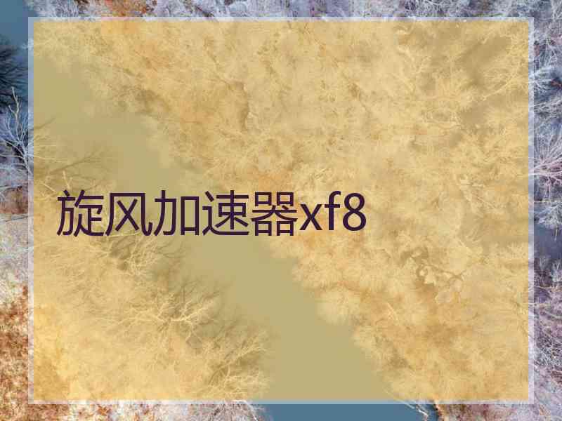 旋风加速器xf8