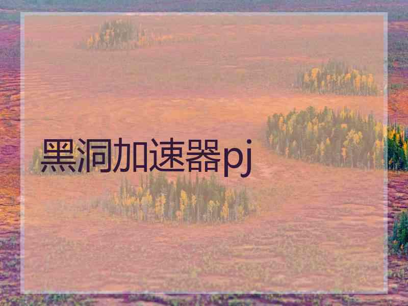 黑洞加速器pj