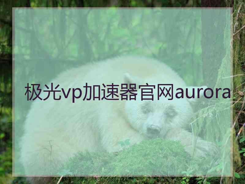极光vp加速器官网aurora