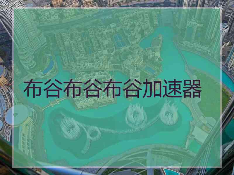 布谷布谷布谷加速器