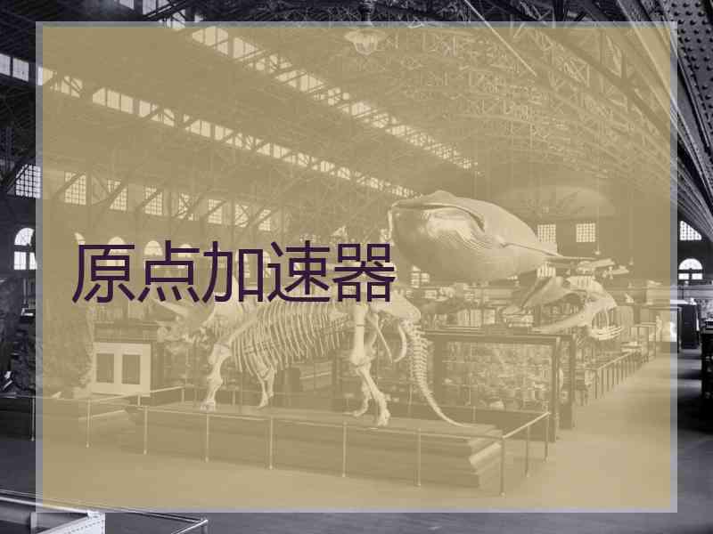 原点加速器